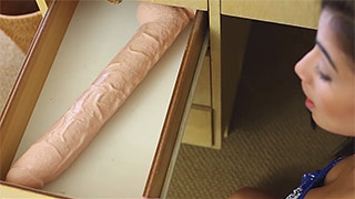 Extremely large meaty and rubber dicks for sexy girl